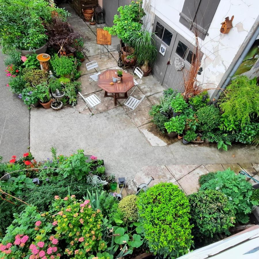 Bed & Breakfast Maison D'hotes La Renardiere