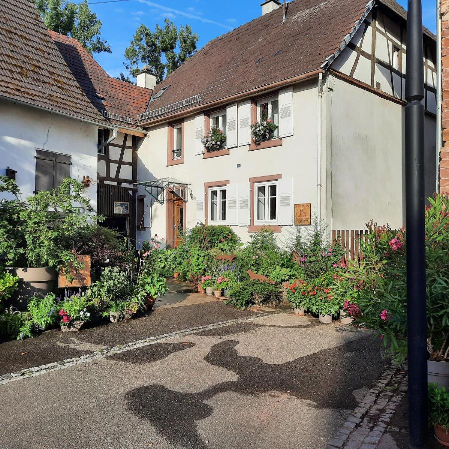Bed & Breakfast Maison D'hotes La Renardiere