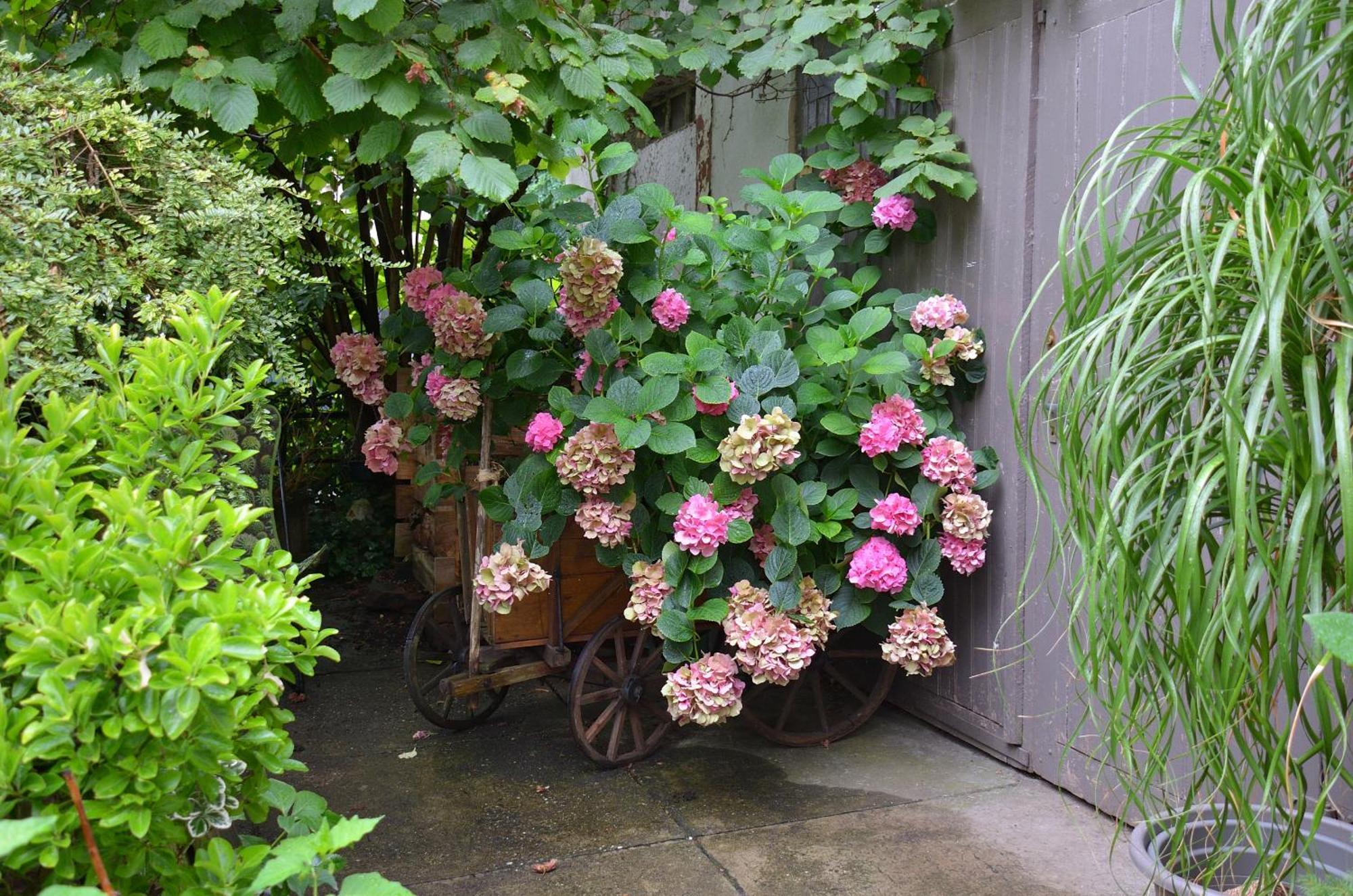 Bed & Breakfast Maison D'hotes La Renardiere *