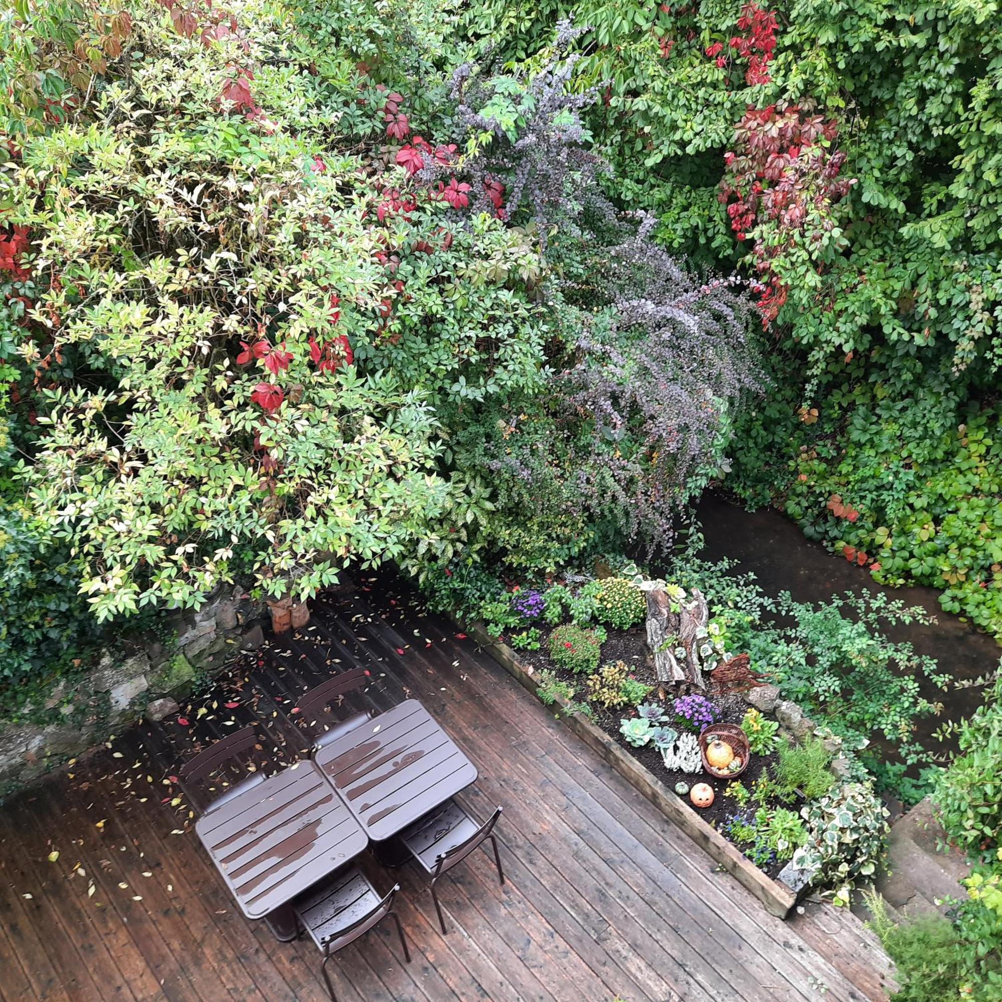 Bed & Breakfast Maison D'hotes La Renardiere Reichshoffen