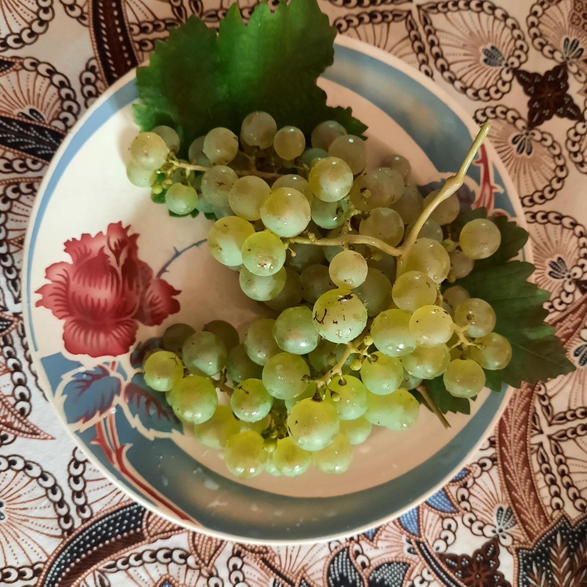 Maison D'hotes La Renardiere Bed & Breakfast